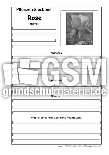 Pflanzensteckbrief-Rose-SW.pdf